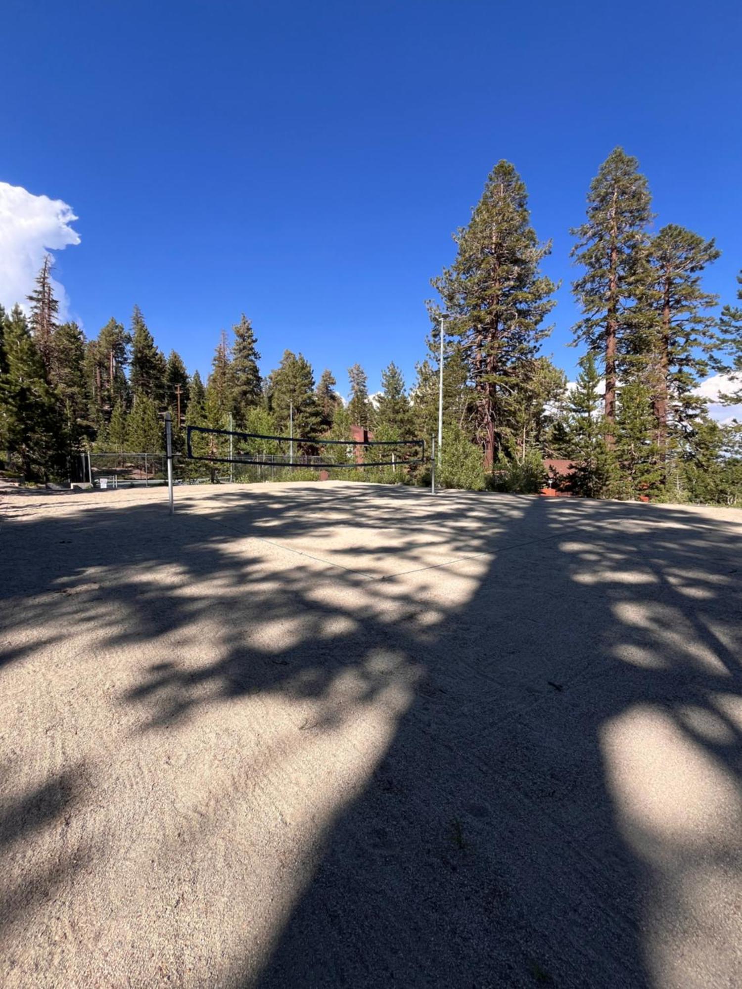 Tastefully Remodeled Condo At Mammoth Ski & Racquet Club, Hot Tub, Garage, 10 Min Walk To Ski Lifts Mammoth Lakes Dış mekan fotoğraf