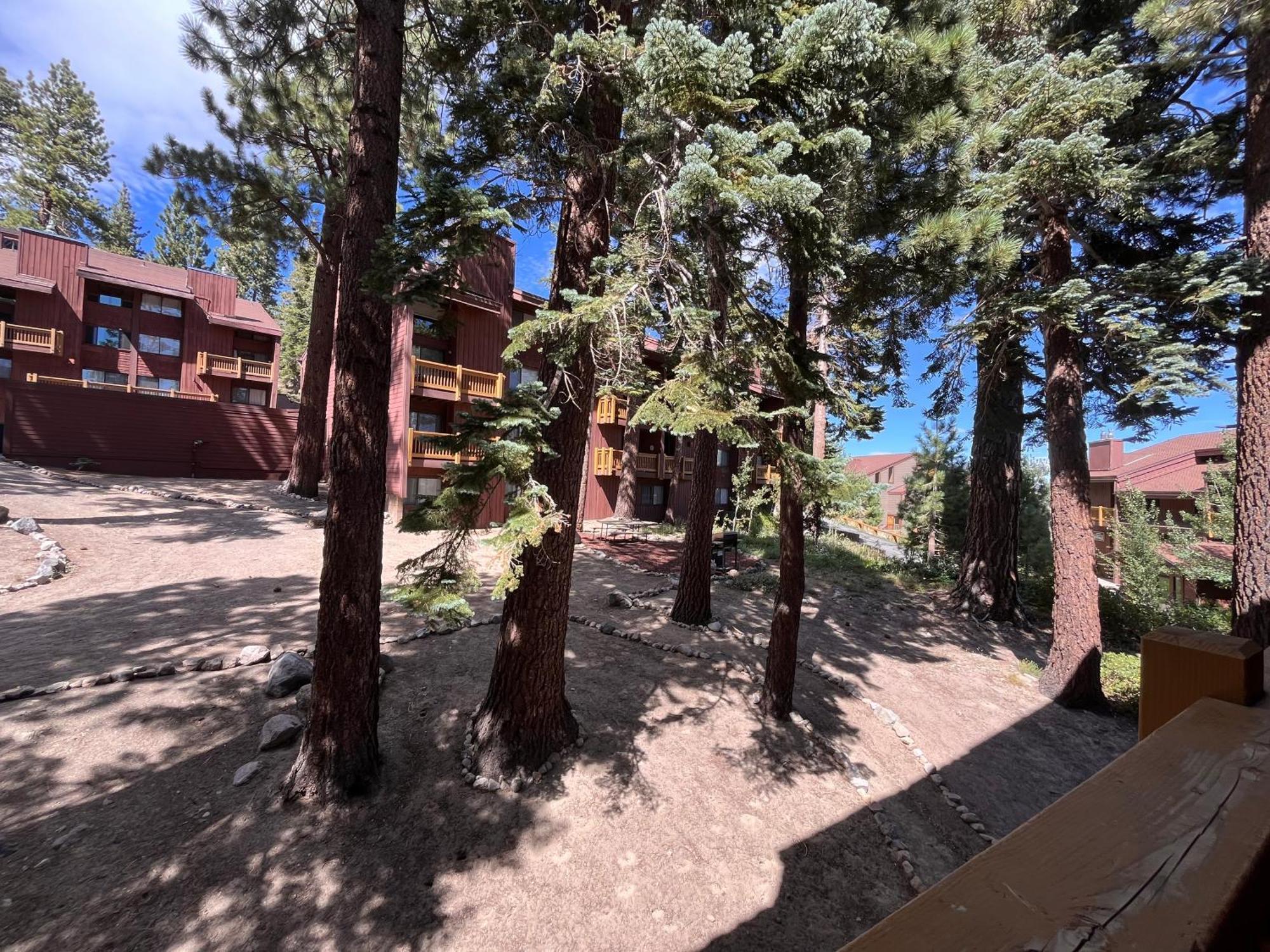 Tastefully Remodeled Condo At Mammoth Ski & Racquet Club, Hot Tub, Garage, 10 Min Walk To Ski Lifts Mammoth Lakes Dış mekan fotoğraf